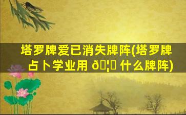 塔罗牌爱已消失牌阵(塔罗牌占卜学业用 🦋 什么牌阵)